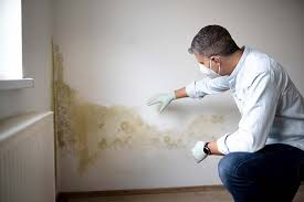 Best Crawl Space Mold Remediation in Monroe, UT